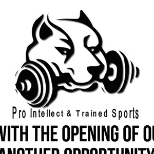 Derek A., Raleigh, NC Strength & Conditioning Coach