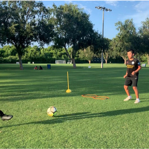 Luis C., Houston, TX Soccer Coach