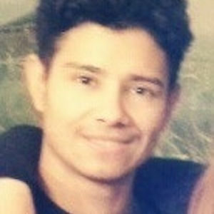 Lee T., Schiller Park, IL Fitness Coach