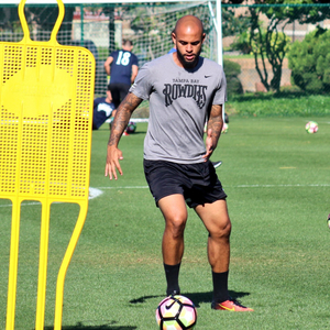 Kyle P., St. Petersburg, FL Soccer Coach