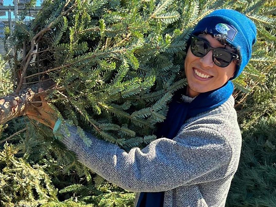 Man carrying a Christmas tree on his shoulder for mulching on a sunny day