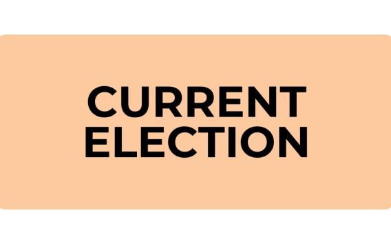 Image of text "Current Election"