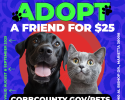 Cobb County Animal Services flyer with bold green and white text reading ‘Adopt a Friend for $25.’ Offer valid August and September 2025. Features a happy black Labrador retriever and a curious gray cat against a blue and red graphic background. Location: 1060 Al Bishop Drive, Marietta, GA 30008. Website: CobbCounty.gov/pets.