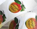 Georgia Voter Stickers