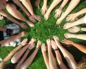 Picture of hands in a circle to represent collaboration