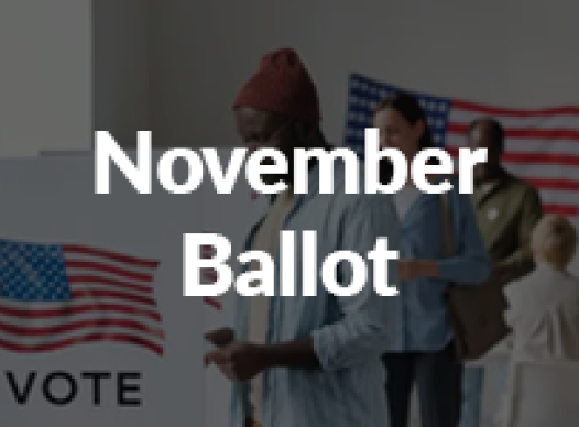 MSPLOST Ballot Button