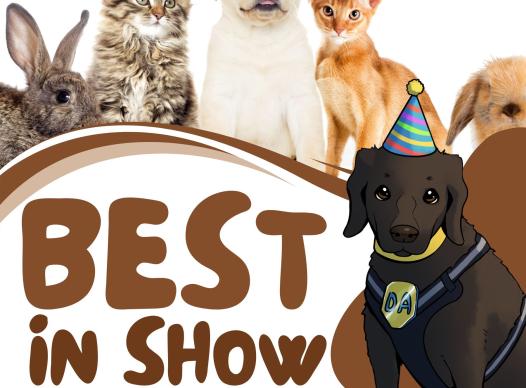 Best in Show