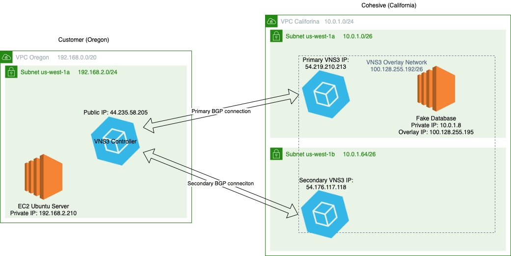 VNS3 local BGP to customer network diagram