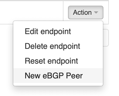 VNS3 create new bgp peer