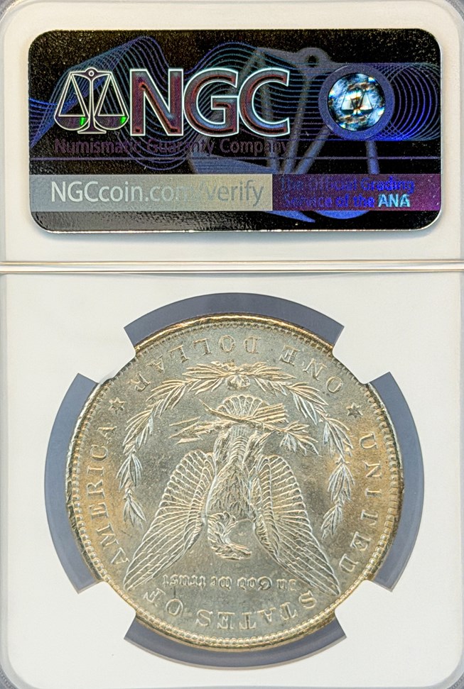 1891 $1 MS | Coin Explorer | NGC