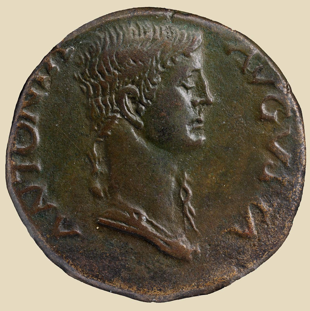 Antonia Coin Details - The Roman Empire