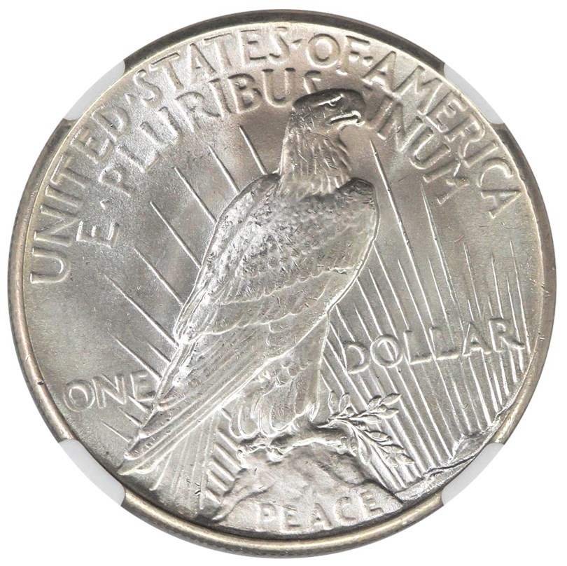 5086623_Full_Rev.jpg?q\u003d12092022141919