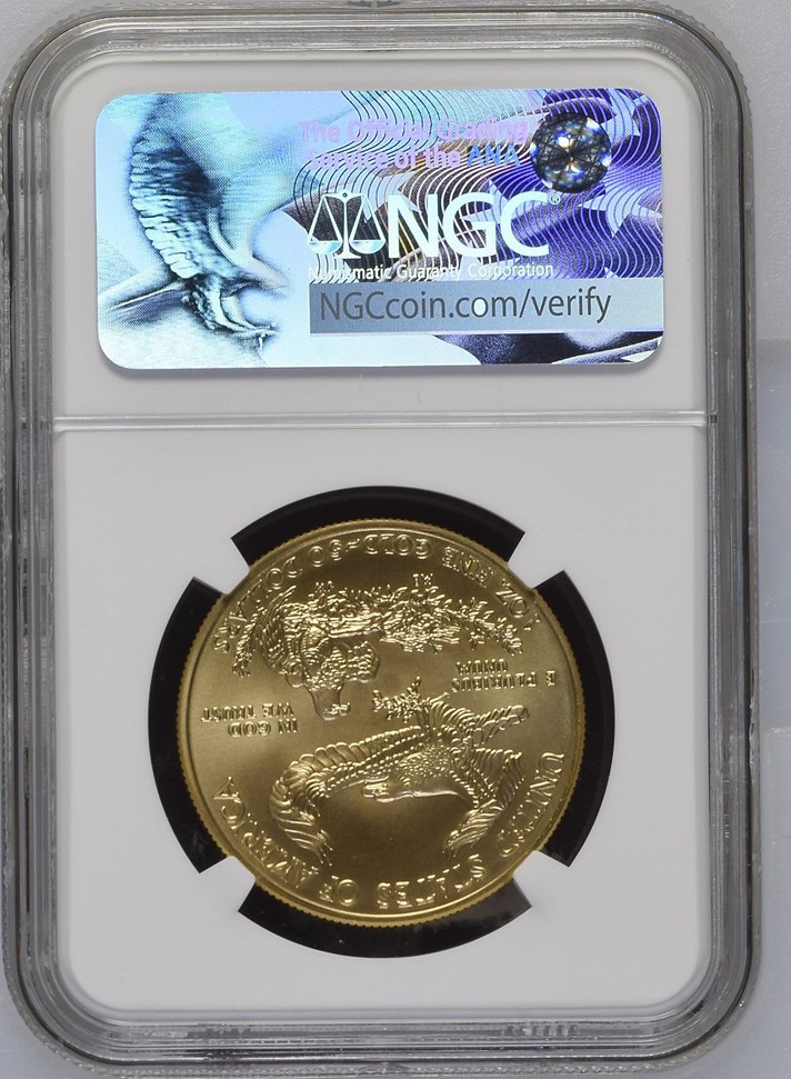 2017 W EAGLE BURNISHED GOLD EAGLE G$50 MS | Coin Explorer | NGC