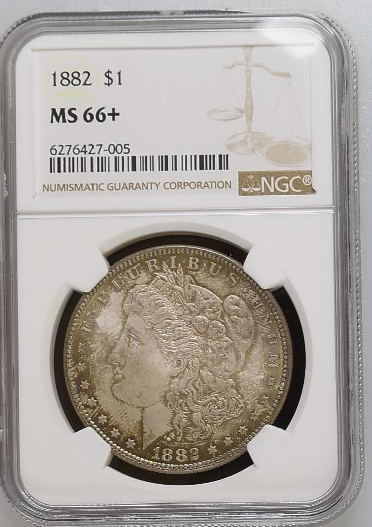 1882 $1 MS | Coin Explorer | NGC
