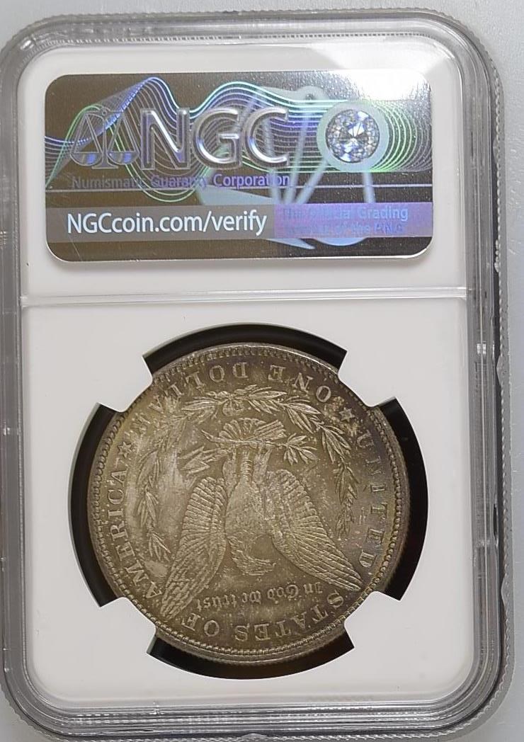 1882 $1 MS | Coin Explorer | NGC