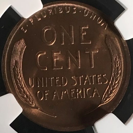 1913 D 1C MS | Coin Explorer | NGC