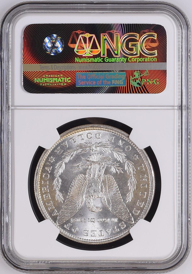 1879 $1 MS | Coin Explorer | NGC