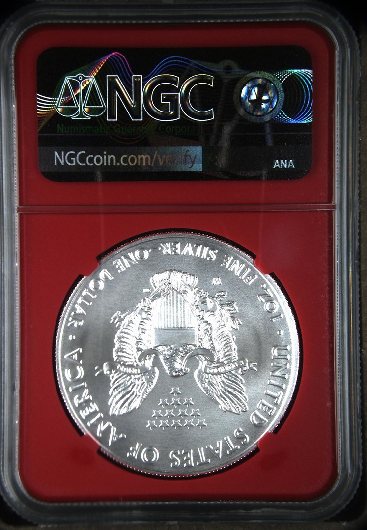 2020 W Eagle Burnished Silver Eagle S$1 MS | Coin Explorer | NGC