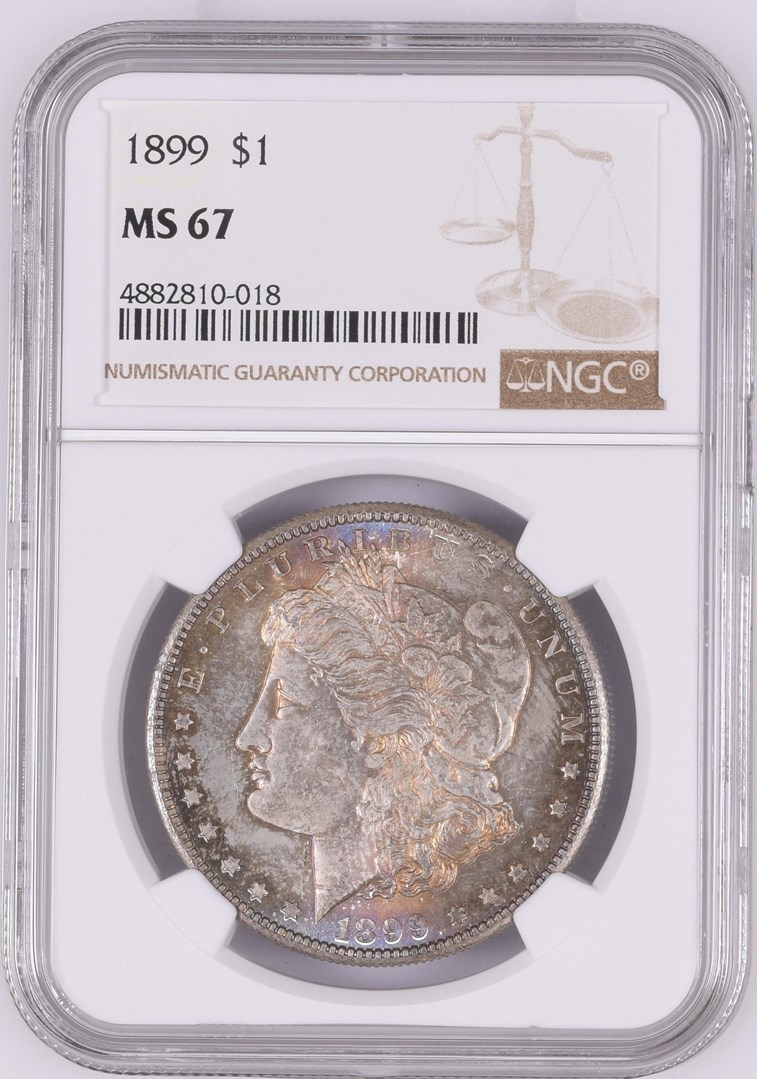 1899 $1 MS | Coin Explorer | NGC