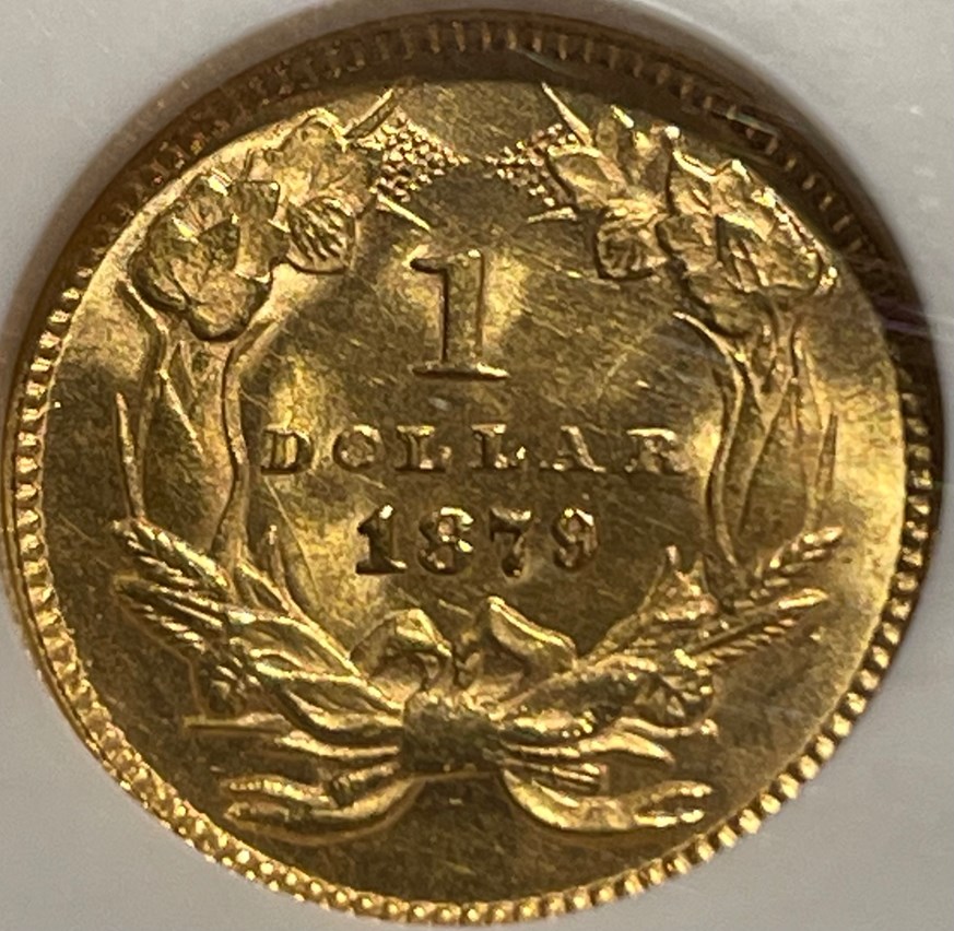 1879 G$1 MS | Coin Explorer | NGC