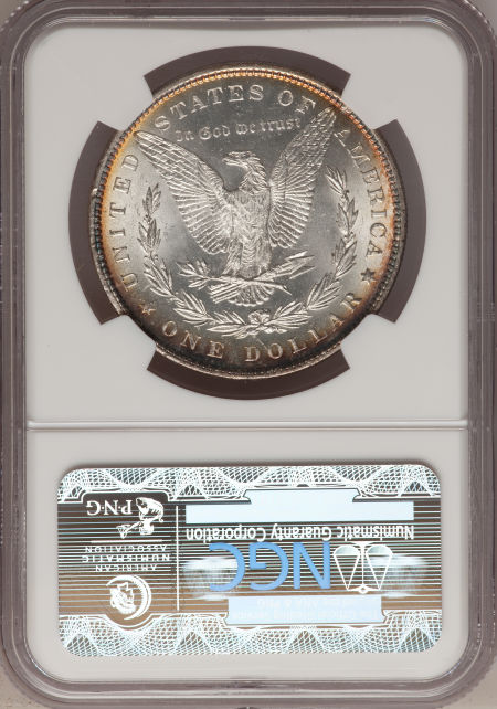 1882 $1 MS | Coin Explorer | NGC