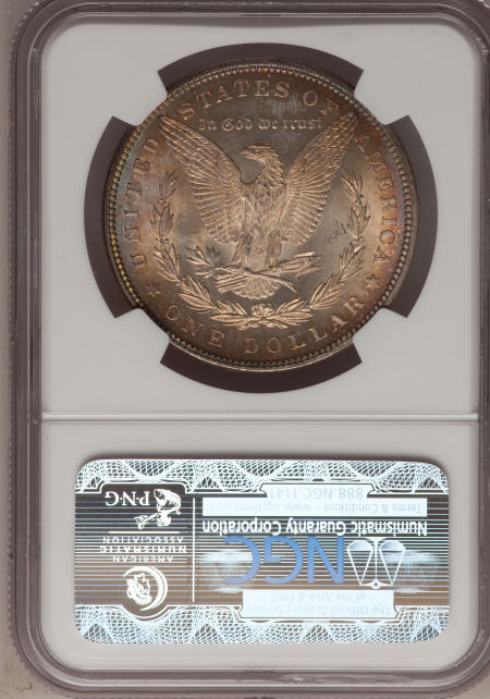 1884 $1 MS | Coin Explorer | NGC