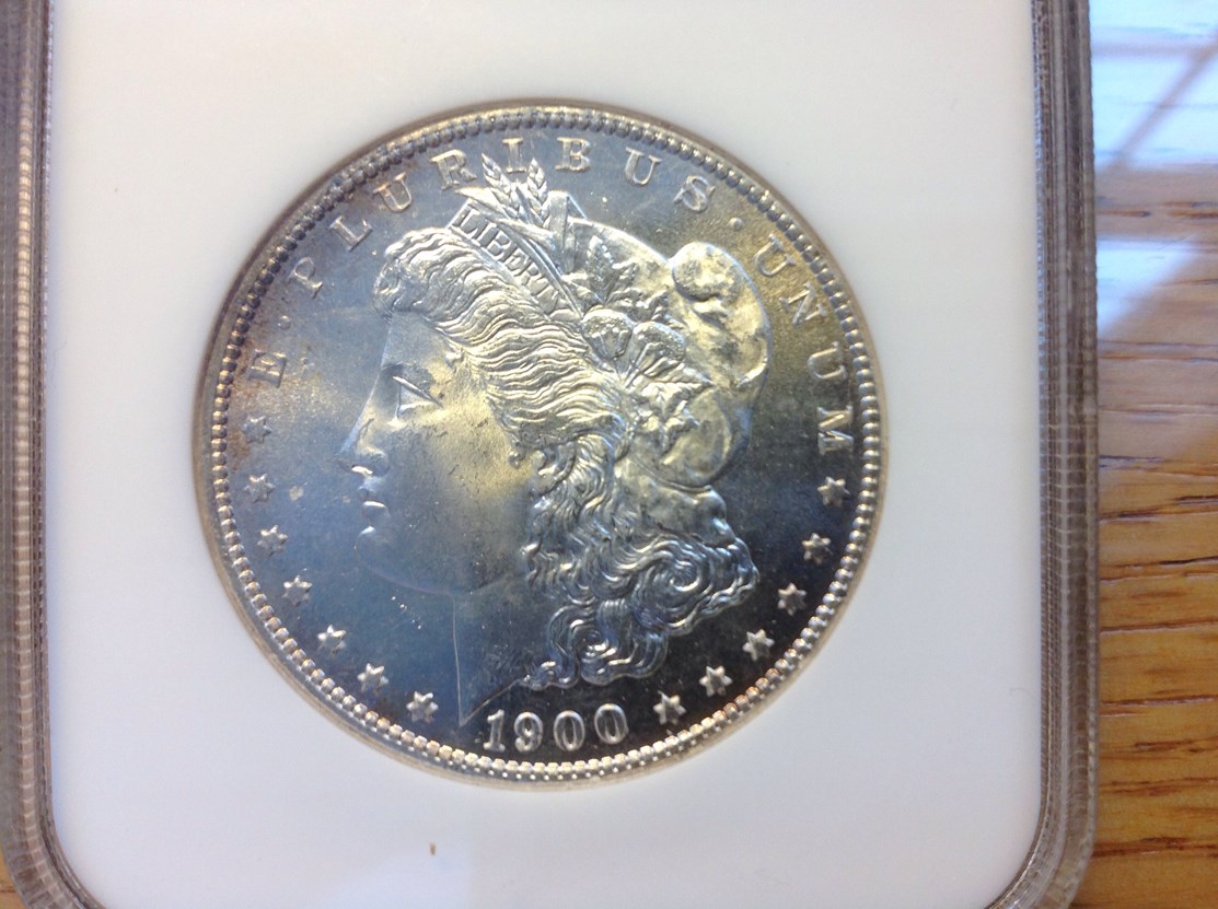 1900 S $1 MS | Coin Explorer | NGC
