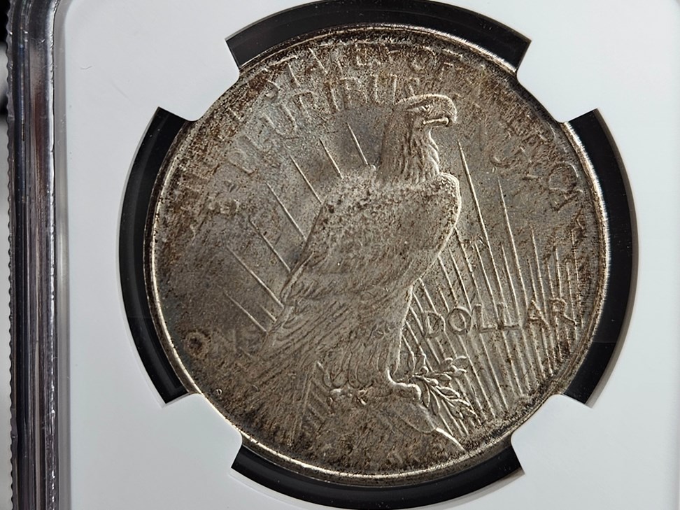 1934 D $1 MS | Coin Explorer | NGC