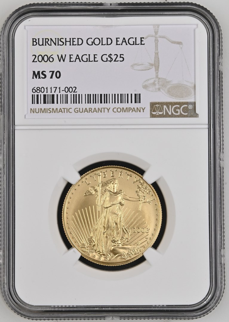 2006 W EAGLE BURNISHED GOLD EAGLE G$25 MS | Coin Explorer | NGC