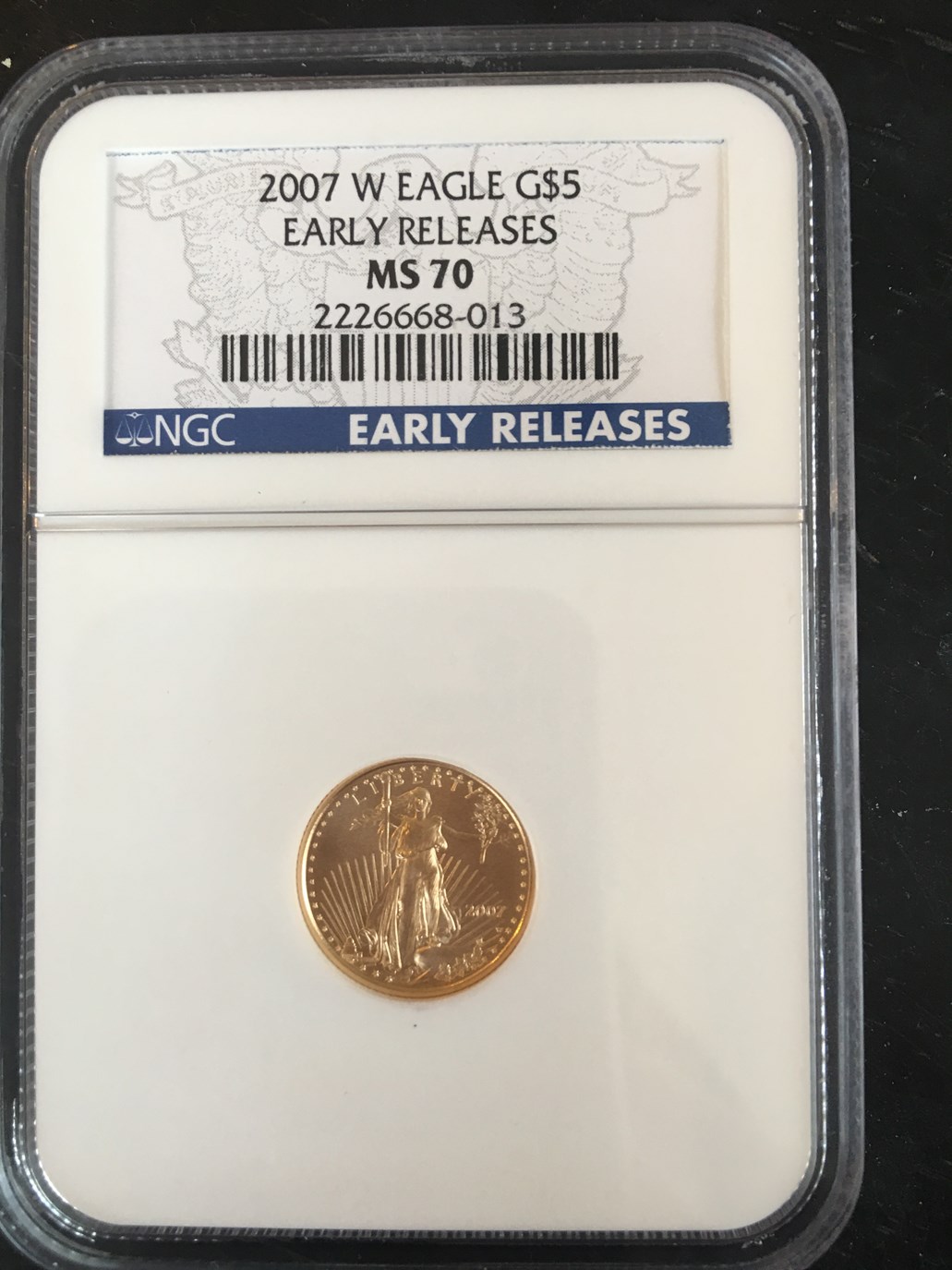 2007 W EAGLE BURNISHED GOLD EAGLE G$5 MS | Coin Explorer | NGC