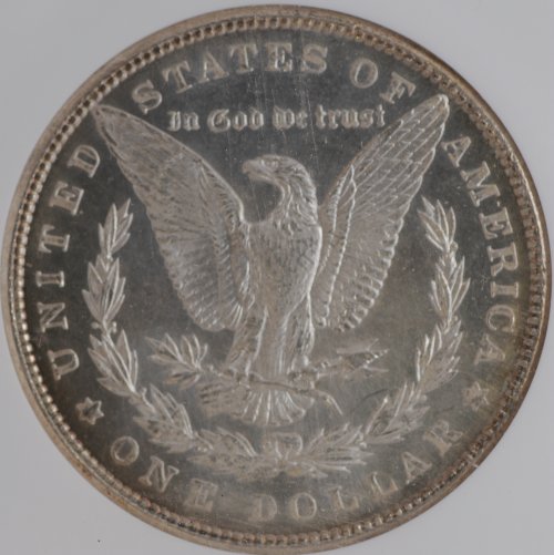 1900 $1 MS | Coin Explorer | NGC