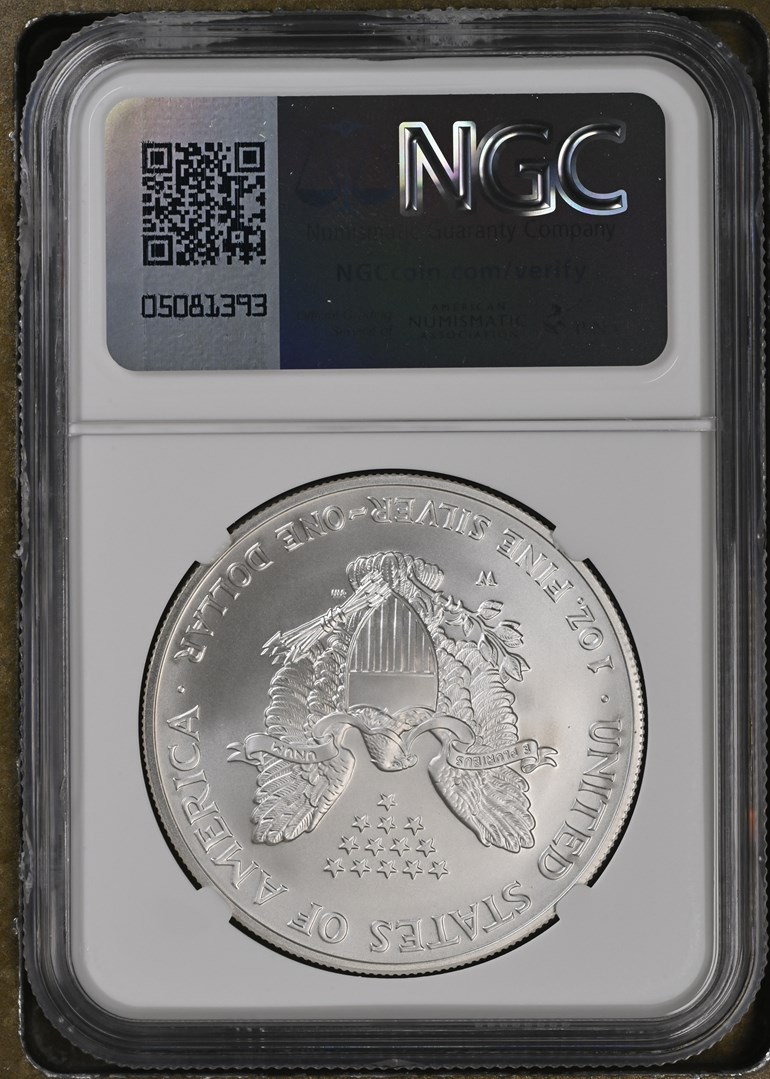2006 W EAGLE BURNISHED SILVER EAGLE S$1 MS | Coin Explorer | NGC