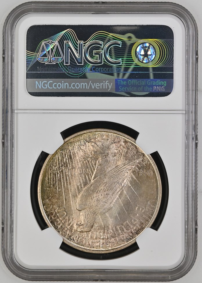 1923 D $1 MS | Coin Explorer | NGC