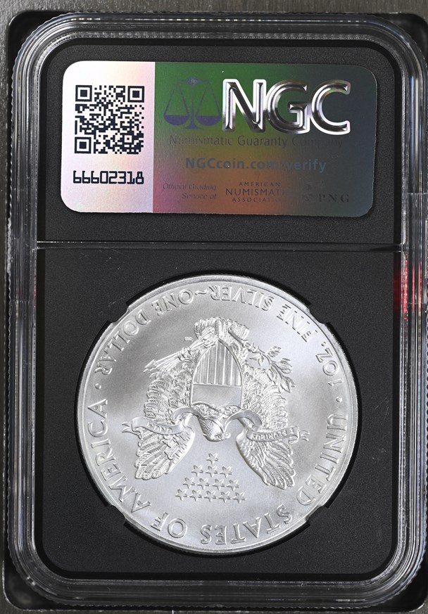 2013(W) EAGLE S$1 MS | Coin Explorer | NGC