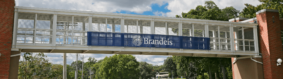 Brandeis University Online