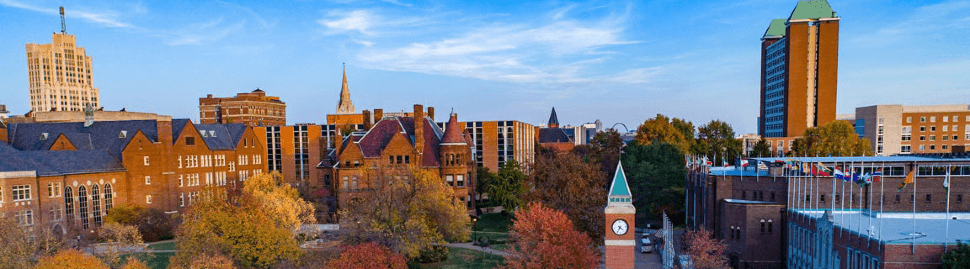 Saint Louis University