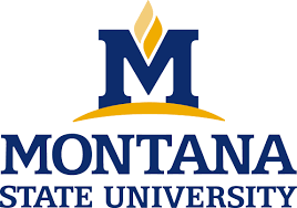 Montana State University - Bozeman