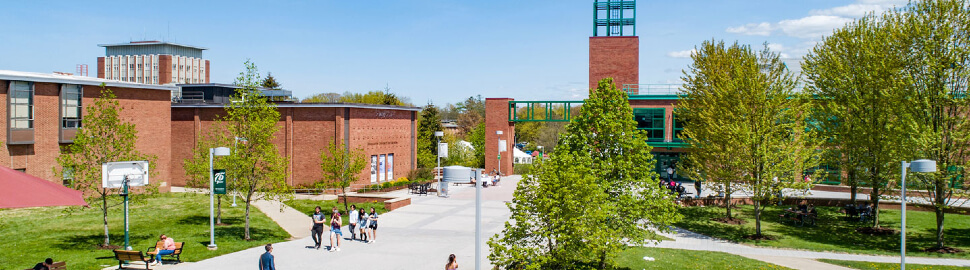 SUNY at Binghamton