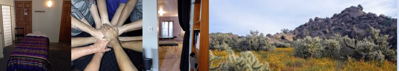 Arizona School of Integrative Studies-Tucson