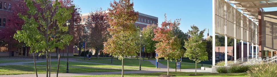 Western Connecticut State University