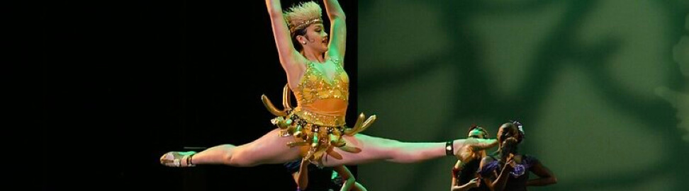 New World School of the Arts