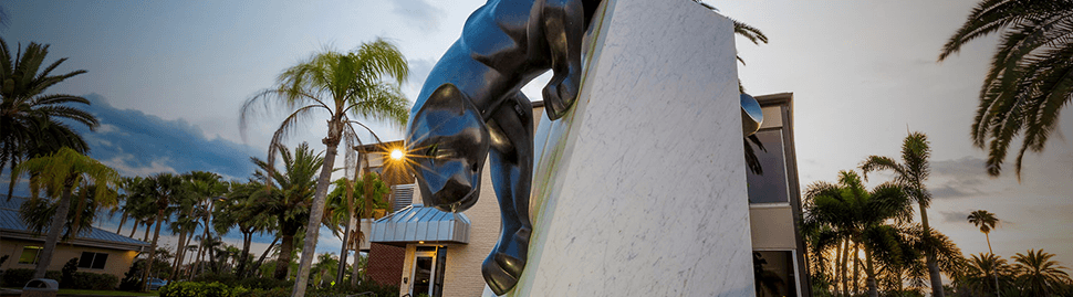 Florida Tech Online