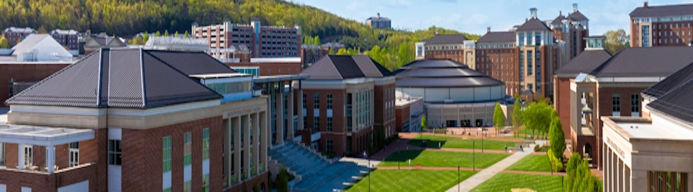 Liberty University