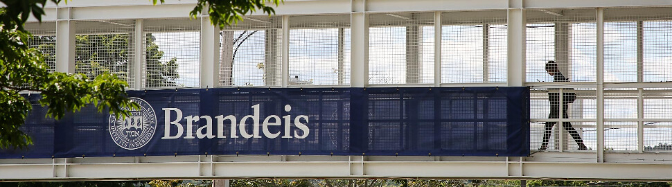 Brandeis University