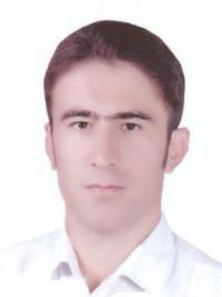 Ali Karami