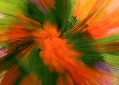 Less Flippin' More Floral by Marie Sauter