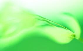 Desert Seed Pods Number 1 by Robert Cleveland