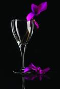 Romance by Judith Monteferrante