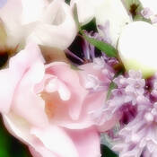 Bouquet IV by Karen Lynch