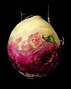 Portrait of a Turnip by Karen Lynch